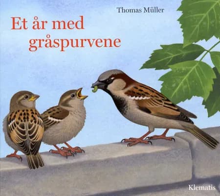 Et år med gråspurvene af Thomas Müller