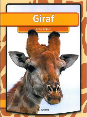 Giraf af Peter Bejder