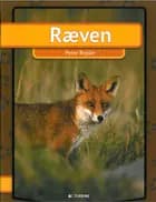 Ræven