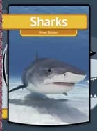 Sharks 