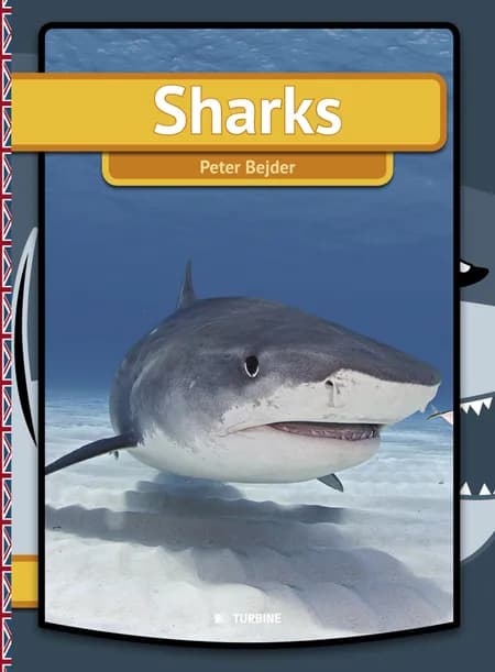 Sharks 