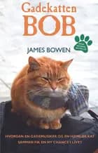 Gadekatten Bob