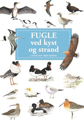 Fugle ved kyst og strand af Hermod Karlsen