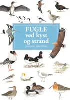 Fugle ved kyst og strand - display med 10 stk 