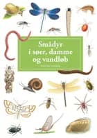 Smådyr i søer, damme og vandløb, display med 10 stk.