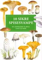 10 sikre spisesvampe