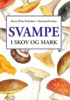 Svampe i skov og mark
