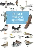 Fugle ved kyst og strand af Louise Imer Nabe-Nielsen