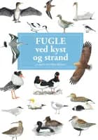 Fugle ved kyst og strand