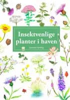 Insektvenlige planter i haven, display med 10 stk.