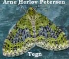 Tegn