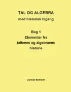 Tal og algebra med historisk tilgang