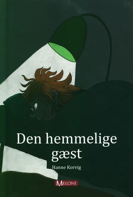Den hemmelige gæst af Hanne Korvig
