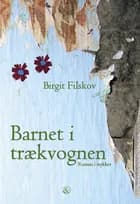 Barnet i trækvognen af Birgit Filskov
