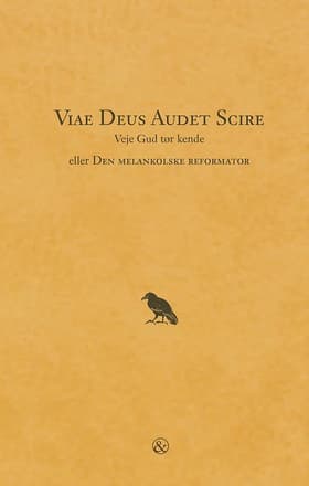 Viae Deus audet scire af Oscar K.