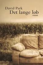 Det lange løb af David Park