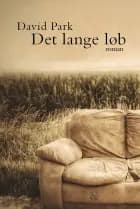 Det lange løb af David Park