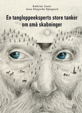 En tangloppeeksperts store tanker om små skabninger af Anna Margrethe Kjærgaard