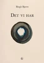Det vi har af Birgit Bjerre