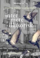 Intet mere illusorisk