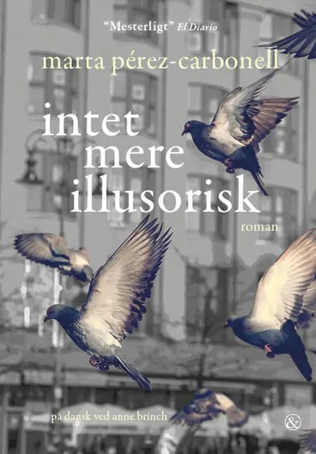 Intet mere illusorisk af Marta Pérez-Carbonell