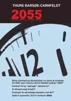 2055