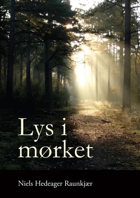 Lys i mørket af Niels Hedeager Raunkjær