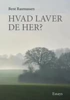 Hvad laver De her? af Bent Rasmussen