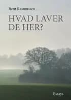 Hvad laver De her? af Bent Rasmussen