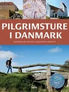 Pilgrimsture i Danmark af Jørgen Hansen