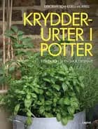 Krydderurter i potter
