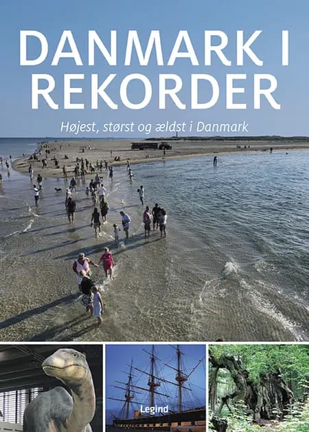 Danmark i rekorder af Jørgen Hansen