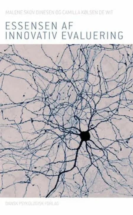 Essensen af innovativ evaluering af Malene Skov Dinesen
