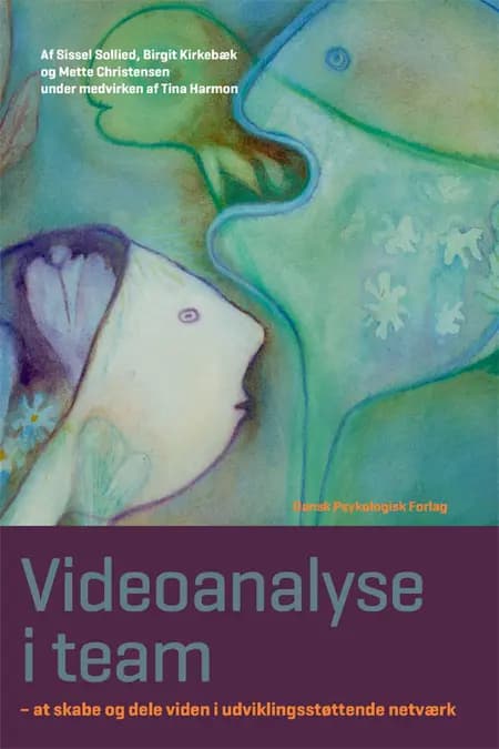 Videoanalyse i team af Birgit Kirkebæk