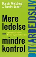 Mere ledelse - mindre kontrol