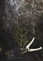 Nordisk jul