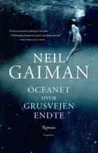 Oceanet hvor grusvejen endte