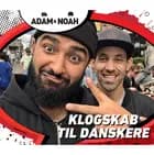 Klogskab til danskere