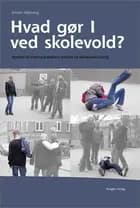 Hvd gør I ved skolevold?
