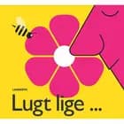 Lugt lige