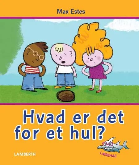 Hvad er det for et hul? af Max Estes
