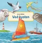 Ved kysten