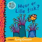 Hvor er Lille fisk?