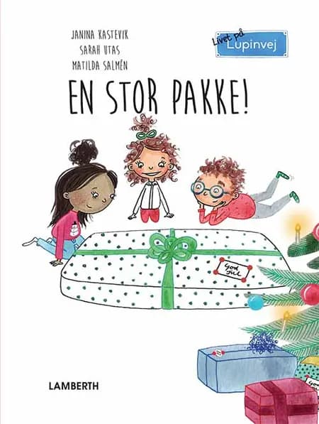 En stor pakke! af Janina Kastevik