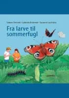 Fra larve til sommerfugl