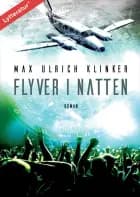 Flyver i natten