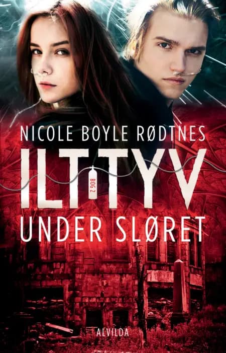 Under sløret af Nicole Boyle Rødtnes