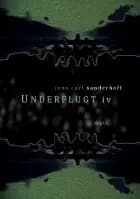 Underflugt IV