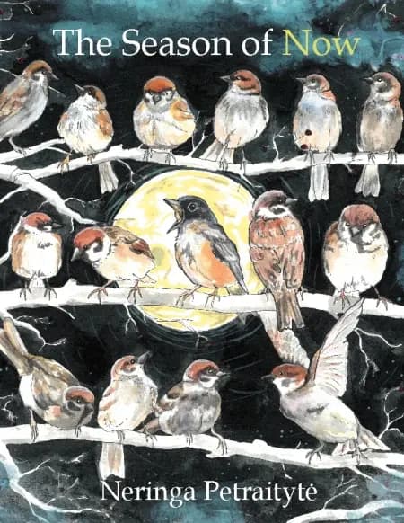 The Season of Now af Neringa Petraityte