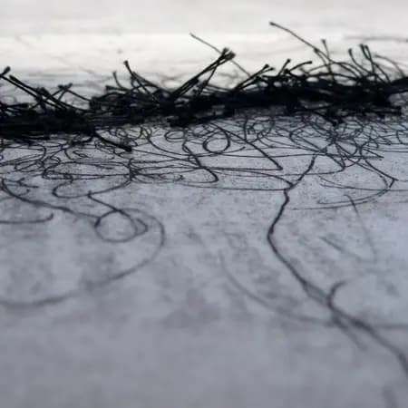 Sammenfiltret af Eleanor Havsteen-Franklin